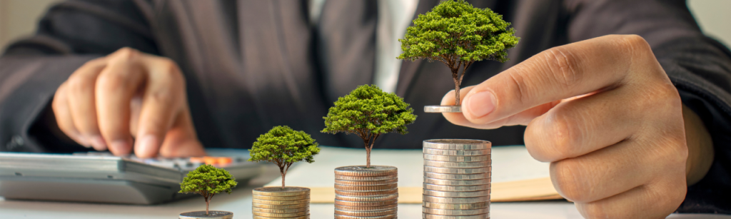 Financial Education for Entrepreneurs as a Successful Business Foundation