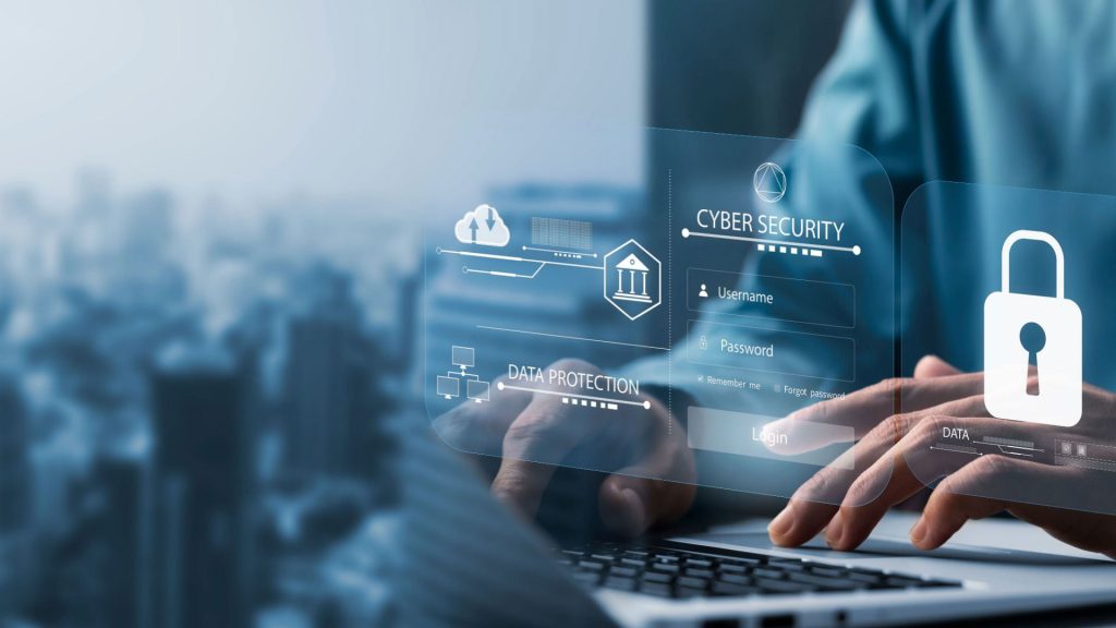 The Privacy Paradox. Navigating Data Collection in a Transparent World